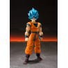 Super Saiyan God Super Saiyan Son Goku Son Goku - SH Figuarts - Dragon Ball