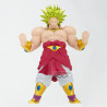 Super Saiyan Broly - Banpresto Blood of Saiyans - Dragon Ball